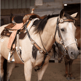 2231 Veranda Barrel Western Saddles