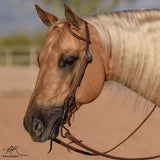 New! Billy Royal® Oiled Hermann Oak Leather Rolled One Ear Headstall - Country Scene Saddlery and Pet Supplies