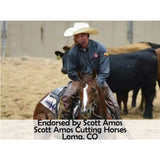 New! Billy Royal® Oiled Hermann Oak Leather Rolled One Ear Headstall - Country Scene Saddlery and Pet Supplies