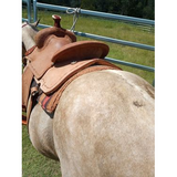 2727 Comal - Country Scene Saddlery and Pet Supplies
