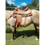 2727 Comal - Country Scene Saddlery and Pet Supplies