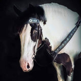 CSS Custom Inlay Tacksets. - Country Scene Saddlery and Pet Supplies