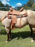 2727 Comal - Country Scene Saddlery and Pet Supplies