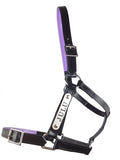 New! PVC Halter Black - Stainless Steel Fittings with Engraved Horse Nameplate - Country Scene Saddlery and Pet Supplies