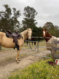 CSSB06 Chocolate Floral Tooled Barrel Saddle - Country Scene Saddlery and Pet Supplies