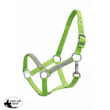 2Ply Medium/Large Pony size nylon halter with crystal noseband and cheeks. - Country Scene Saddlery and Pet Supplies