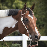NEW! Billy Royal® California Classic Two Ear Headstall - Country Scene Saddlery and Pet Supplies