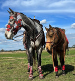 CSS Custom Saddles, Tack, Boots, Pads and Accessories. - Country Scene Saddlery and Pet Supplies