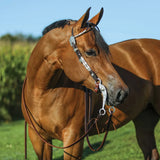 Double S Two Ear Double Ferrule Show Headstall - Country Scene Saddlery and Pet Supplies