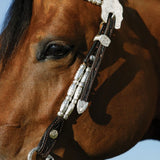 Double S Two Ear Double Ferrule Show Headstall - Country Scene Saddlery and Pet Supplies