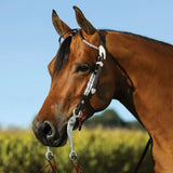 Double S Two Ear Double Ferrule Show Headstall - Country Scene Saddlery and Pet Supplies