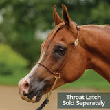 New! Billy Royal® Comfort Concho Original Thread - Country Scene Saddlery and Pet Supplies