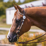 NEW! Billy Royal® Bainbridge Classic Two Ear Headstall - Country Scene Saddlery and Pet Supplies