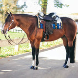 Billy Royal® Santa Ana Show Saddle - Country Scene Saddlery and Pet Supplies