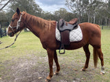 Syd Hill Premium Swinging Fender Leather with Adjustable Tree - Country Scene Saddlery and Pet Supplies