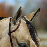 NEW! Billy Royal® Oiled Rolled One Ear Short Cheek Headstall with Quick Change Buckle Ends - Country Scene Saddlery and Pet Supplies