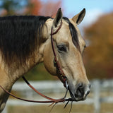 NEW! Billy Royal® Oiled Rolled One Ear Short Cheek Headstall with Quick Change Buckle Ends - Country Scene Saddlery and Pet Supplies