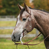 Billy Royal® Oiled Hermann Oak One Ear Buckle End Headstall - Country Scene Saddlery and Pet Supplies