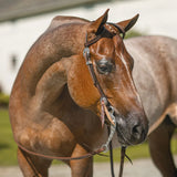 Billy Royal® Drover Ranch Western Headstall - Country Scene Saddlery and Pet Supplies