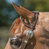 Billy Royal® Drover Ranch Western Headstall - Country Scene Saddlery and Pet Supplies