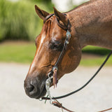 Billy Royal® Drover Ranch Western Headstall - Country Scene Saddlery and Pet Supplies