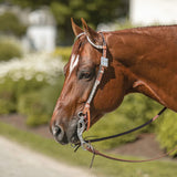 NEW! Billy Royal® Mesquite Two Ear Headstall - Country Scene Saddlery and Pet Supplies
