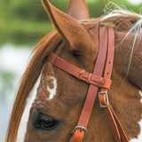 New! Schneiders® Harness Leather Decorative Nose Side Pull - Country Scene Saddlery and Pet Supplies