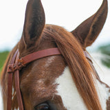 New! Schneiders® Harness Leather Decorative Nose Side Pull - Country Scene Saddlery and Pet Supplies