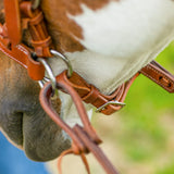 New! Schneiders® Harness Leather Decorative Nose Side Pull - Country Scene Saddlery and Pet Supplies