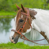 New! Schneiders® Harness Leather Decorative Nose Side Pull - Country Scene Saddlery and Pet Supplies