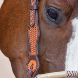 New! Schneiders® One Ear Bosal Set