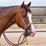 New! Schneiders® One Ear Bosal Set