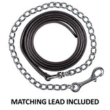Double S Beaded Silver Plated Show Halter With Lead - Country Scene Saddlery and Pet Supplies