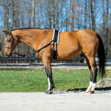 NEW! Dura-Tech® Fleece Lined Training Surcingle for Horses - Country Scene Saddlery and Pet Supplies