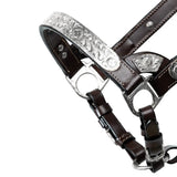 New! Schneiders® Cassidy Show Halter with Lead - Country Scene Saddlery and Pet Supplies