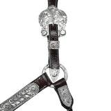 New! Schneiders® Cassidy Show Halter with Lead - Country Scene Saddlery and Pet Supplies