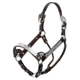 New! Schneiders® Cassidy Show Halter with Lead - Country Scene Saddlery and Pet Supplies