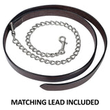 New! Schneiders® Cassidy Show Halter with Lead - Country Scene Saddlery and Pet Supplies