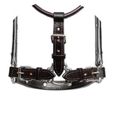 NEW! Schneiders® Felicity Show Halter with Lead - Country Scene Saddlery and Pet Supplies