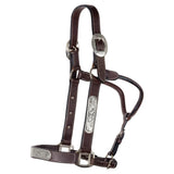New! Schneiders® Simply Silver Show Halter with Lead - Country Scene Saddlery and Pet Supplies