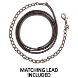 New! Schneiders® Simply Silver Show Halter with Lead - Country Scene Saddlery and Pet Supplies