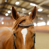 Schneiders® Ergonomic Flash English Bridle with Clear Crystal Browband - Country Scene Saddlery and Pet Supplies