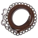 Billy Royal® Sterling Silver Overlay Annie Silver Show Halter with Lead - Country Scene Saddlery and Pet Supplies