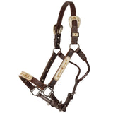 Billy Royal® Sterling Silver Overlay Roxy Silver Show Halter with Lead - Country Scene Saddlery and Pet Supplies