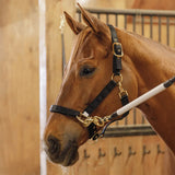New! Schneiders® Magnetic Therapy Calming Nylon Stable Halter - Country Scene Saddlery and Pet Supplies