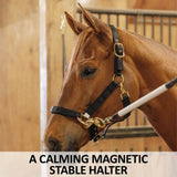 New! Schneiders® Magnetic Therapy Calming Nylon Stable Halter - Country Scene Saddlery and Pet Supplies