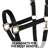 New! Schneiders® Magnetic Therapy Calming Nylon Stable Halter - Country Scene Saddlery and Pet Supplies
