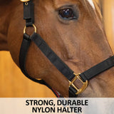 New! Schneiders® Magnetic Therapy Calming Nylon Stable Halter - Country Scene Saddlery and Pet Supplies