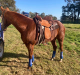 Double S 2 Tone Combination Ranch Saddle, Cutter. 6.5 inch wide - Country Scene Saddlery and Pet Supplies