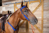 New! Marfa Lights Suede Browband Royal - Country Scene Saddlery and Pet Supplies